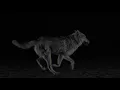 Download Lagu AURORA - Running With The Wolves (𝑺𝒍𝒐𝒘𝒆𝒅+𝑹𝒆𝒗𝒆𝒓𝒃)