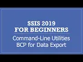 Using BCP Command for Query Result set Data Export as File