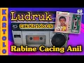 Ludruk Jula Juli Cak Kartolo CS: Rabine Cacing Anil #ludruk #cakkartolo #julajuli #lucu