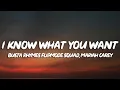 Download Lagu Busta Rhymes, Mariah Carey - I Know What You Want (Lyrics) ft. Flipmode Squad