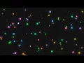 Animated Stars Background using CSS Javascript