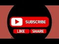 Shallipopi Elon musk [lyrics video] | lakersandzie
