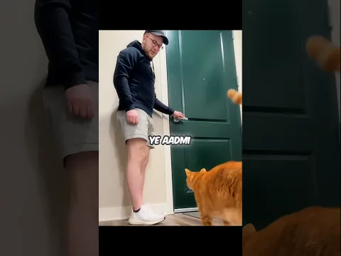 THE LONELY CAT WHO WAITED FOR HIS OWNER 🥺