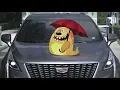 Monster Express Car Wash - Best Car Wash In Stuart FL