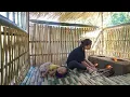 Lagu Husband Kicks Wife Out of the House | Journey of a 16-Year-Old Single Mother Building a Bamboo House
