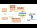 Functional Programming 6 1 of 3 In Arabic