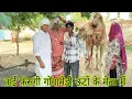 Download Lagu # ताई फंसगी गोगामेड़ी ऊंटों के मेला में#हरियाणवी राजस्थानीपारिवारिककॉमेडीrajurajasthani#dhakadtai 