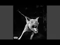 Download Lagu BAADMAAN BREED3R