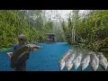 Download Lagu hari ke 3 ⛈️ banyak dapat ikan setelah periksa tajur dan jaring ikan nila part#2