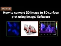 Convert 2D image to 3D surface plot using ImageJ Software