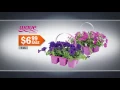 Take back your yard with supplies from Mills Fleet Farm