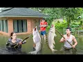 Download Lagu CEO Returns to Restore Flood-damaged Home, Hunt Fish, and Preserve For Long-term Use