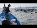 Lagu 17/11/2025 Trip Mancing at Sangkar Sungai Udang Penang 