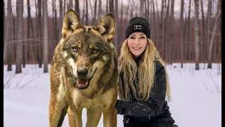 The Italian Wolf's Incredible Comeback... But Is It About to End?