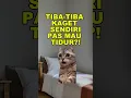 Kenapa Tubuh Kayak 'Jatuh' Pas Mau Tidur?