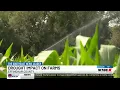 Madrac Farms prepares to open for first weekend of the season