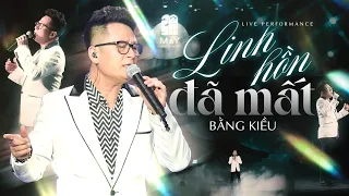 Linh hồn đã mất