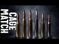 Cartridge Wars Finale Reveal of the best hunting cartridge ever made