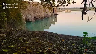 هلي من صغر سني ولعوني بحب طه النبي ولعوني 