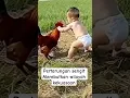 Download Lagu Ayam vs Bocil Adu ?…#shorts#Ai #shortvideo