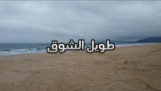 أنشودة طويل الشوق يبقى في اغترابي بدون موسيقى 