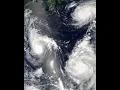 Typhoon Wikipedia article