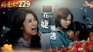 好運來 EP229 在婕難逃 Everybody Needs Good Luck 