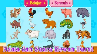 49 nama dan suara hewan abcd untuk balita dan anak