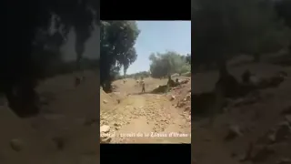 اغنية رائعة للمرحوم العرباوي 