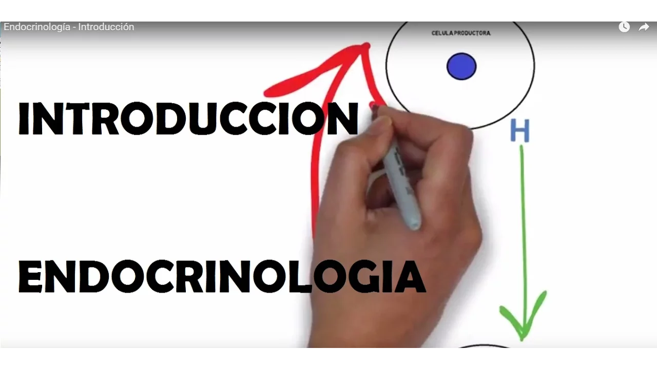 Endocrinología  -  Introducción