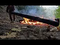 Off Grid Forest Life With My Dog | Building Our Cabin Far From People