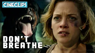 chased by a rottweiler dont breathe cinestream