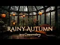 Lagu Rainy Autumnal Day in a Conservatory Ambience and Music 🍂 | cozy autumn atmosphere #autumn #fall