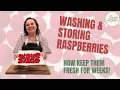 How to Wash Fresh Raspberries and keep them FRESH for weeks