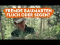 Download Lagu Diese BÄUME solltest du NIEMALS pflanzen - Forst erklärt