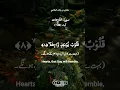 Download Lagu Surah An Nazi'at | سورۃ النّازِعات| Verse No (8-12) | Mishary bin Rashid Alafasy #shorts #shortsfeed