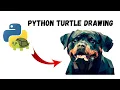 Amazing Python Turtle Dog Drawing