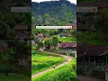 Download Lagu SUASANA PEDESAAN YANG TENANG DAN DAMAI DI CIANJUR 😍 #shorts
