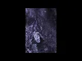 Sega Bodega,Arca - Cicada (slowed + reverb)
