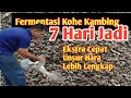 Lagu Cara Cepat Fermentasi Kohe Kambing: Siap Pakai dalam 7 Hari!