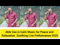 Lagu Able Cee in Calm Music for Peace and Relaxation | Soothing Live Performance 2025