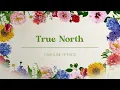 Caroline Spence - True North (Lyric Video)