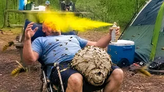 Bugs That Make Everyone Panic 😂 Caught on Camera