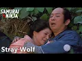 Download Lagu Stray Wolf | Full Movie | English Sub