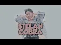 Lagu STECO (Stelan Cobra) - Cyta Walone (Official Music Video)