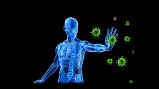 Auto-anticorps et maladies auto-immunes (partie1)