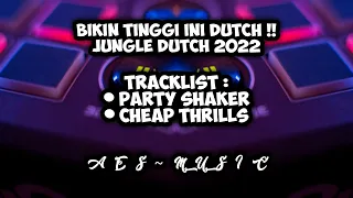 Download BIKIN TINGGI INI DUTCH ! DJ PARTY SHAKER X CHEAP THRILLS | JUNGLE DUTCH 2022 MP3