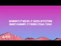 Doja Cat - Attention (Lyrics)