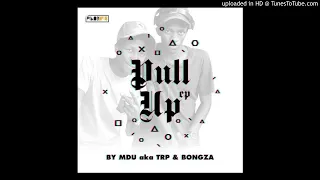 mdu a k a trp bongza u0026 kabza de small mjolo feat howard
