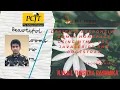 Task 41 - Design a responsive admin homepage using HTML CSS JavaScript and Bootstrap